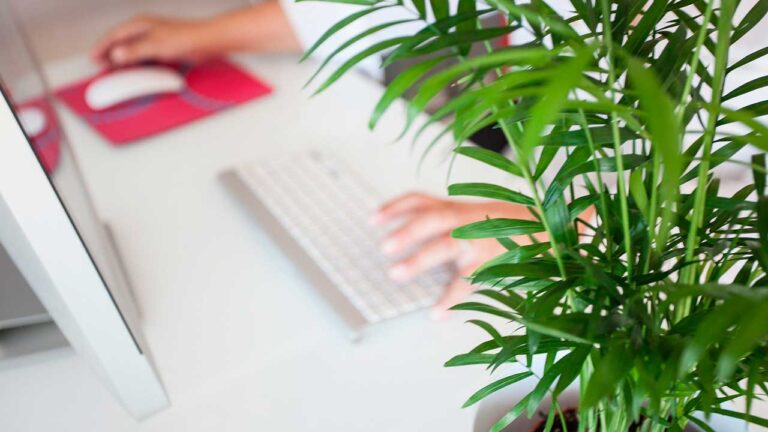 Galymol Asesores de Empresa Alicante